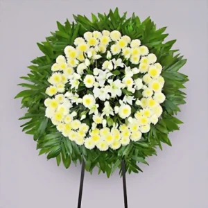 Corona Grande Apoyo Sincero